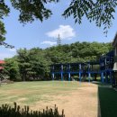 금남멧돼지 이미지