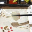 [대전 참치 맛집] 코스로 푸짐하게 즐기는 퀄리티좋은 참치 '참치어화' 솔직후기