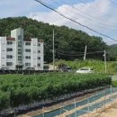 광혜원면행정복지센터 이미지