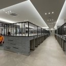 스파렉스 이미지