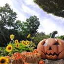 금화파크 이미지