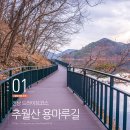 담양호국민관광지 이미지