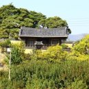 백일홍상사 이미지