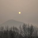 우면산3-24 이미지