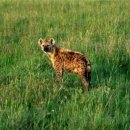 WS 복싱클럽 이미지