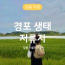 바우길 17구간 | 경포생태저류지, 강릉 여행 코스 메타세쿼이아길 (뚜벅이 추천)