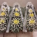 대전보훈병원 이미지