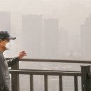 갤러리허송세월 이미지