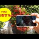 스마트폰 카메라 사진촬영과 보정 이미지