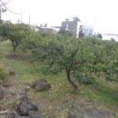 호근동마을회관 이미지