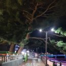 큰솔펜션 이미지