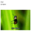 라라 스쿨푸드 | 집 가고싶어요