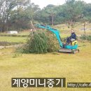 2019.11.02 (토) 김포 하성면 // 소나무 정리 작업 이미지
