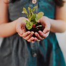 메리어트 이그제큐티브 아파트먼트 서울 이미지