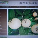 의령군구아바영농조합법인