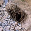 토끼와 자라 이미지