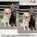 스윗컴퓨터 이미지