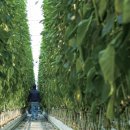 태곡농장 이미지