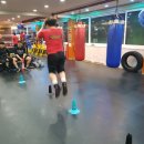 강화 용인대 복싱클럽 이미지