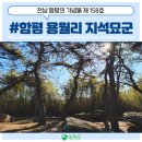 용월리지석묘군 | 전라남도 함평 기념물 제158호 #용월리 지석묘군