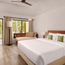 선아일랜드 이미지