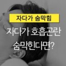 로벤스타인 아카데미 이미지