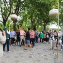 담양 반딧불 이미지