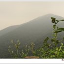 계양산 팔각정 이미지