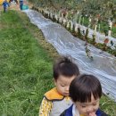 이찬농장 이미지