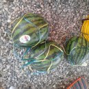 청도그린나래캠핑장 이미지