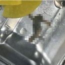 개구리반찬 이미지
