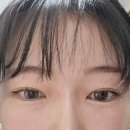 프레시룩 얼루어헤이즐 글라스원 위드렌즈 길동직영점 구매한 후기 착샷O