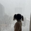 ❄️ 4인가족 #홋카이도여행기 3탄 - 旭川 아사히카와 그리고 이름마저 아름다운 美瑛 비에이