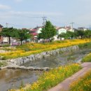 거북 경로당 이미지