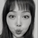 메디슨 벨 이미지