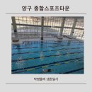 오늘도 스포츠 | 양구에 이런 곳이? 새로 생긴 양구 종합스포츠타운 직접 가봤어요
