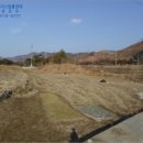 7펜션