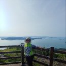 완도군생일면보건지소 | 전남 완도군 생일면 유서리 그림같은 전원주택 실속형 급매(물건번호: 4620)