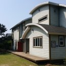 하늘빛으로 물든새 이미지