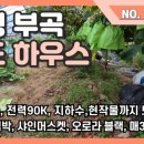 오로라공인중개사사무소 이미지