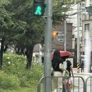 컷코 이미지
