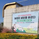 농업기술원 맞은편 이미지