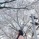 동산막창 이미지