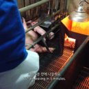 casa de jeju 네이버블로그