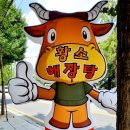 해장터 | [대전중촌동맛집/중촌동해장국]이매량해장터 얼큰 칼칼한 황소해장국