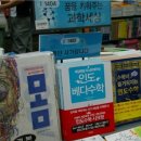 나인코스