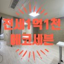 제주드림공인중개사사무소 이미지