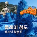책벌레의 신나는 요리놀이 | 청도 [플레이 청도] 방문 후기 할로윈 캠프닉 아이와 가볼 만한 곳