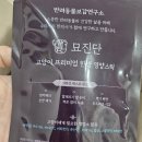 고양이 건강 고민 해결! 입맛 까다로운 노묘도 잘 먹는 고양이 영양제 '묘진단' 급여 후 솔직후기