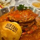 [세부여행] 세부 알리망오 맛집 레드크랩 (예약, 픽드랍서비스, 이용후기)